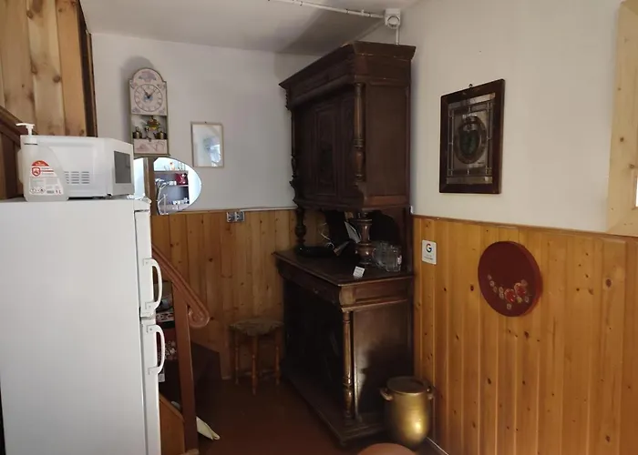 Magnoliowy Zakatek *